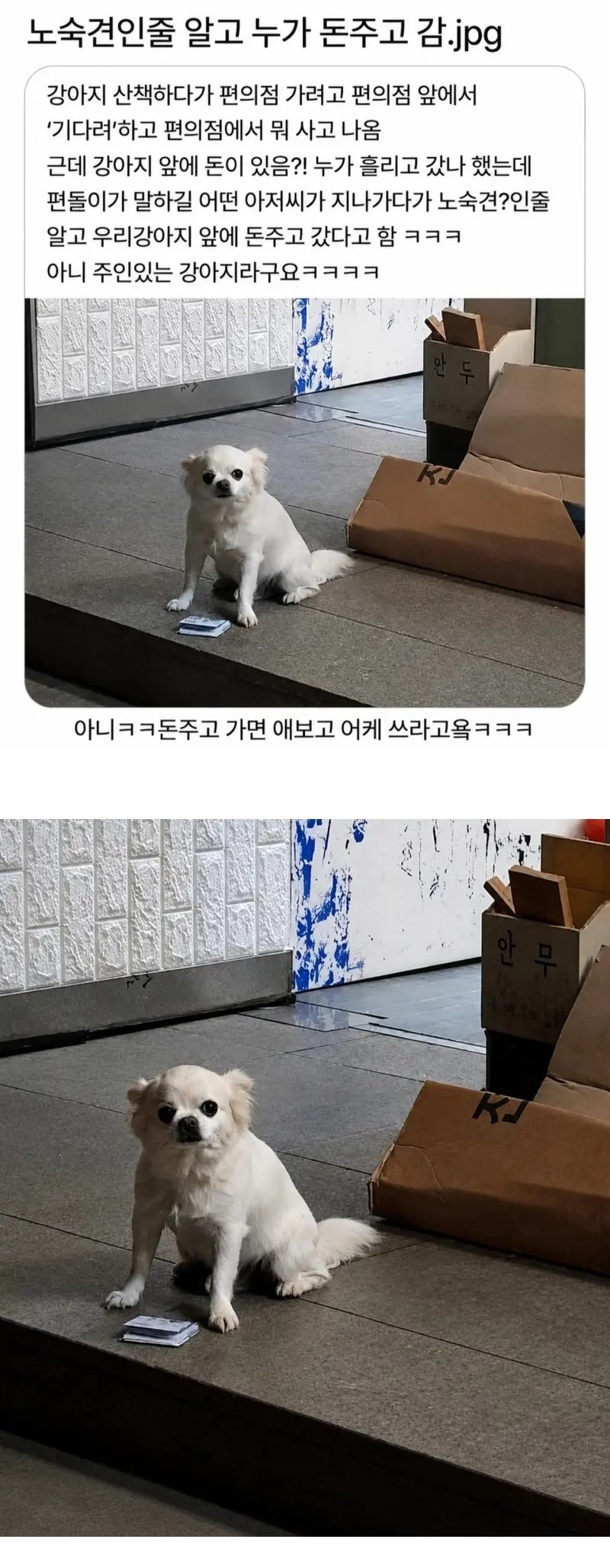 퀘이사존