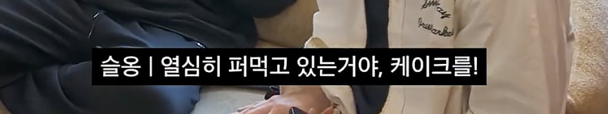 퀘이사존