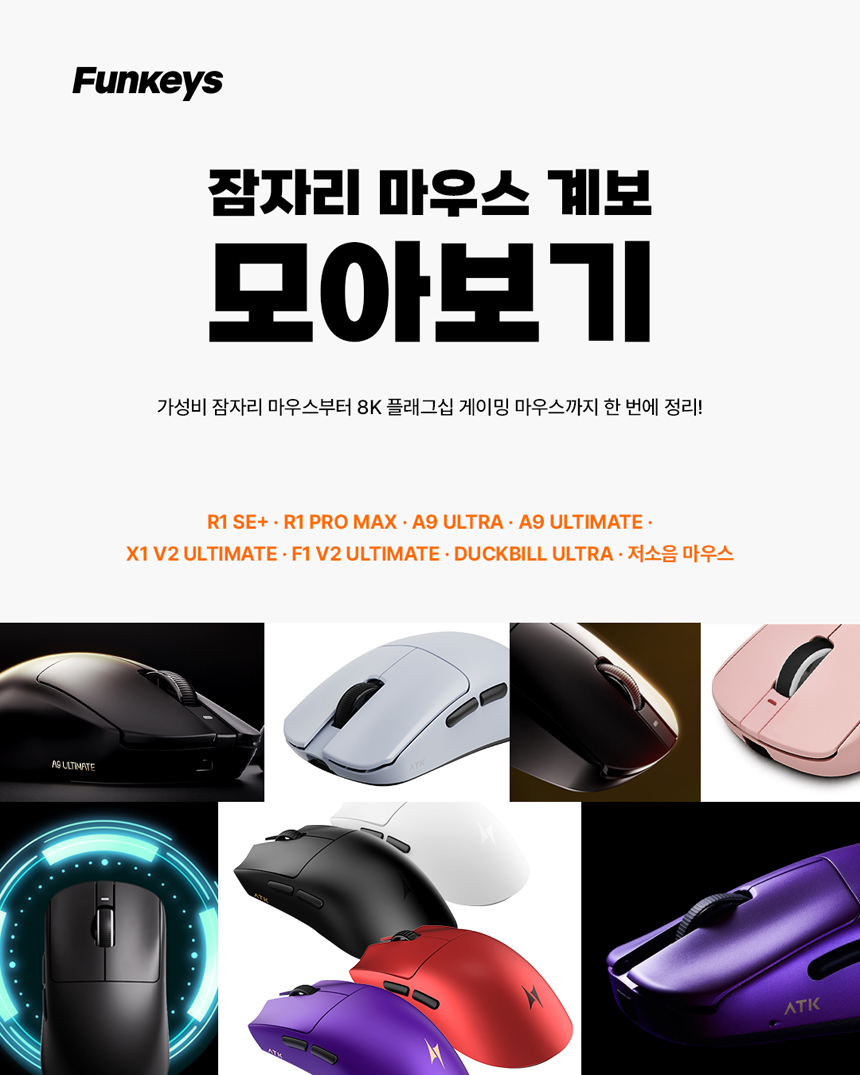 퀘이사존