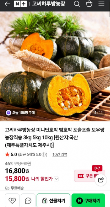 퀘이사존