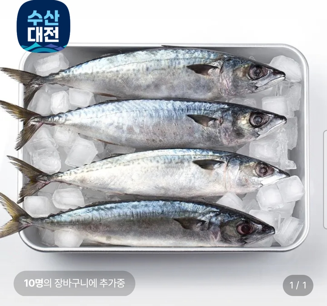 [롯데온] 국내산 부산 자반 손질 특대 고등어 10미 3.5kg 내외 (18,760원 / 무배)