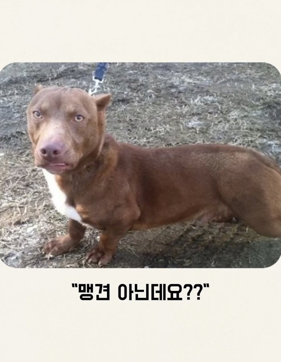 퀘이사존