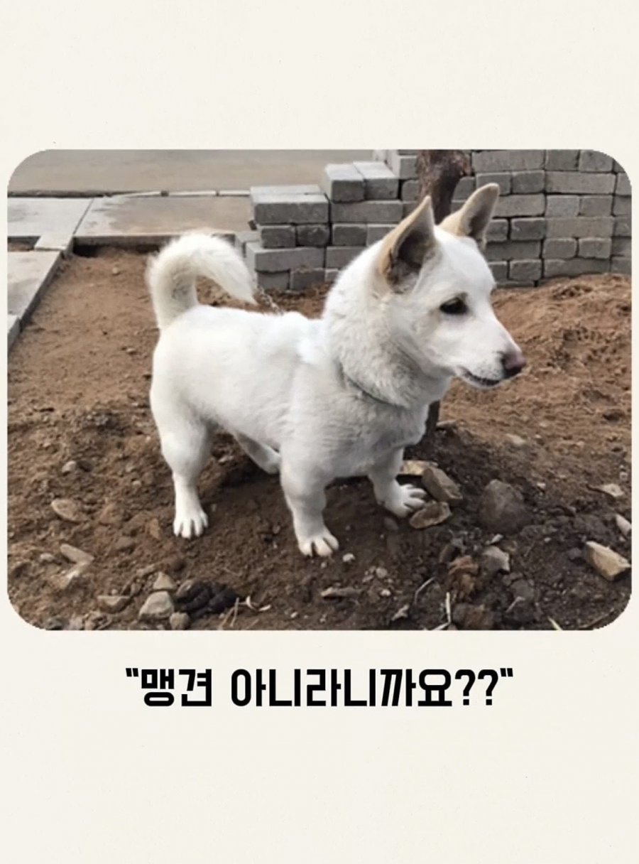 퀘이사존