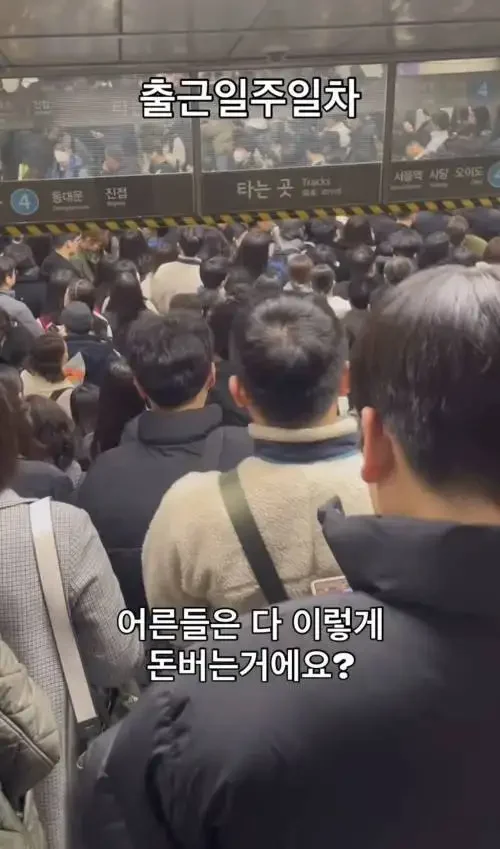 퀘이사존