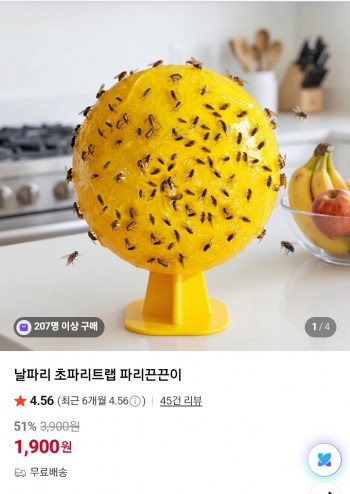 퀘이사존