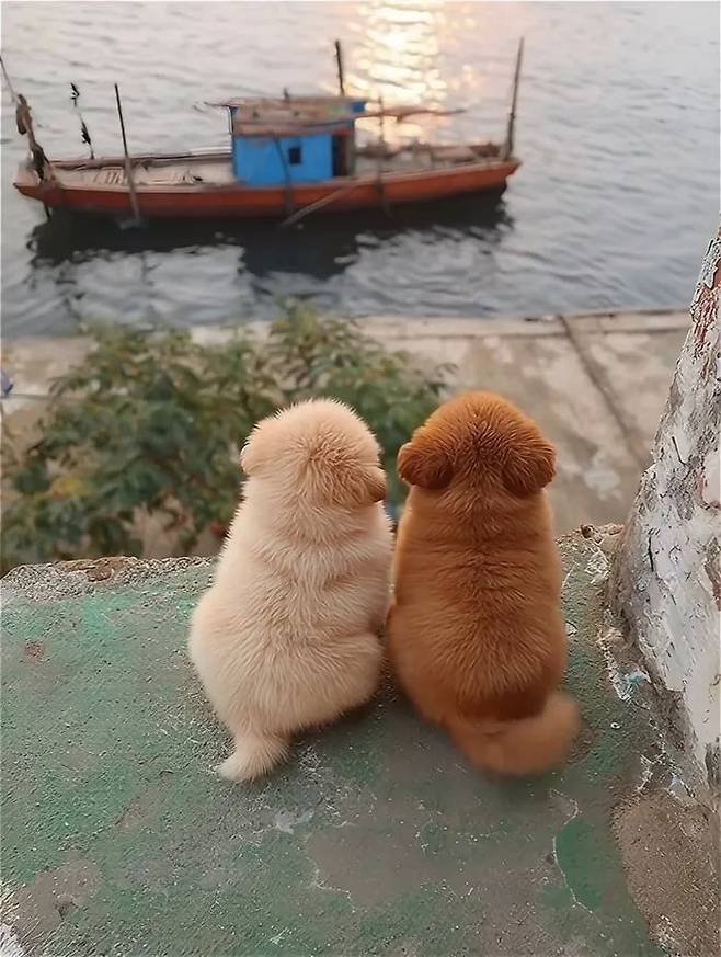 퀘이사존