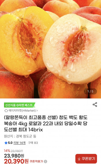 퀘이사존