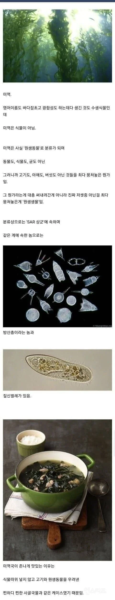 퀘이사존