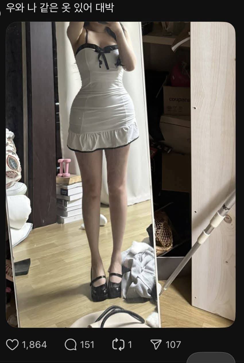퀘이사존