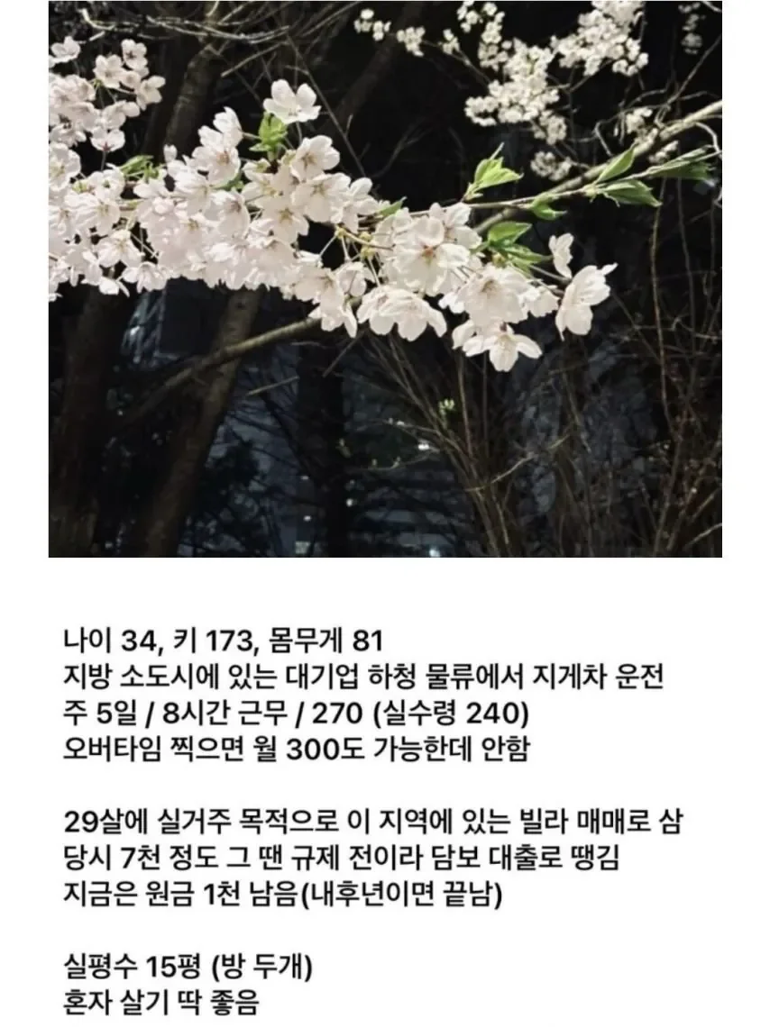 퀘이사존