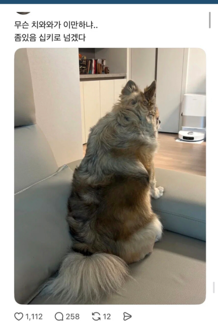 퀘이사존