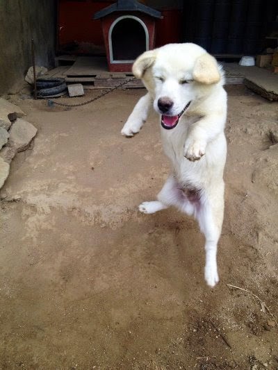퀘이사존