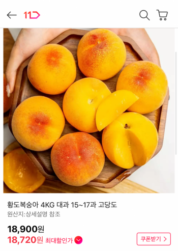 퀘이사존
