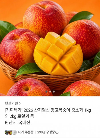 퀘이사존