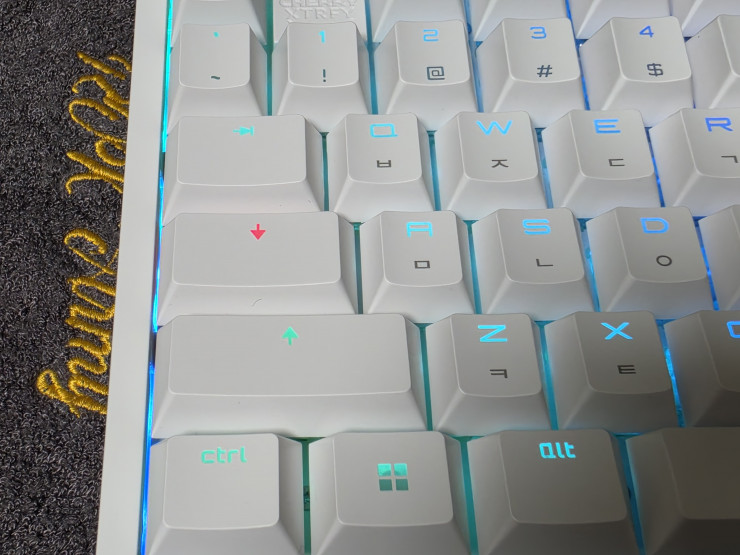 퀘이사존