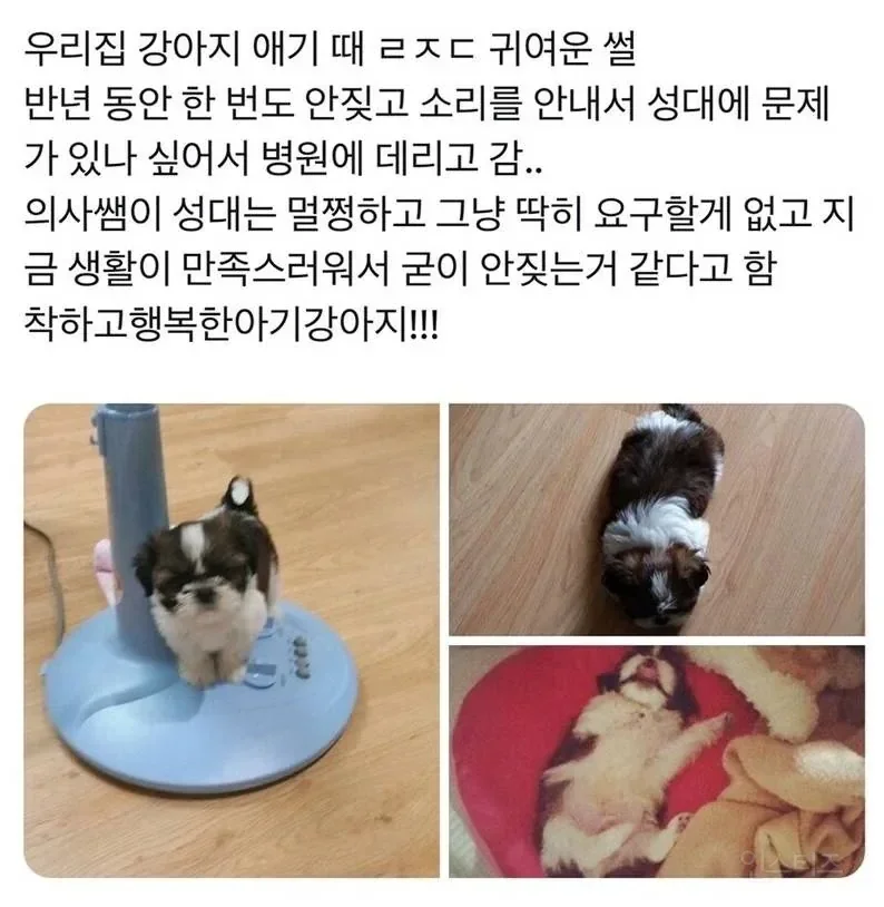 퀘이사존