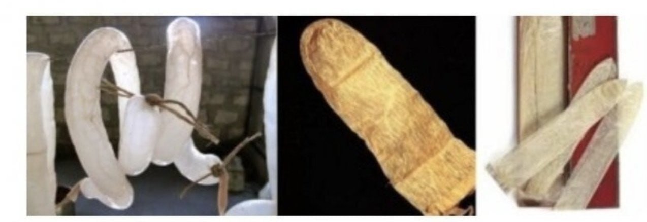 퀘이사존
