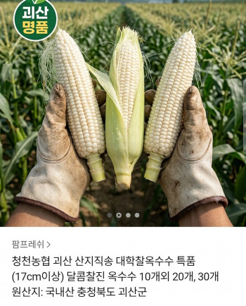 퀘이사존