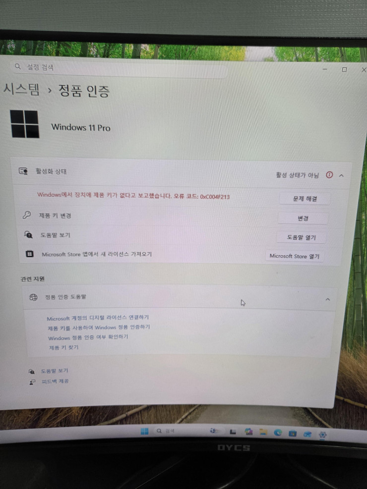 퀘이사존