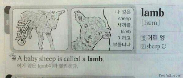 퀘이사존