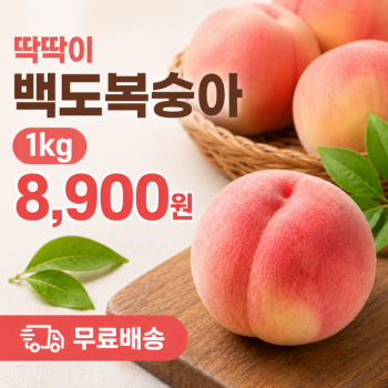 퀘이사존