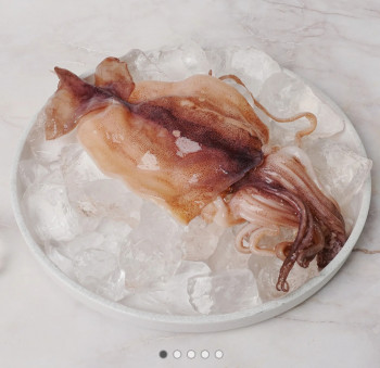 퀘이사존
