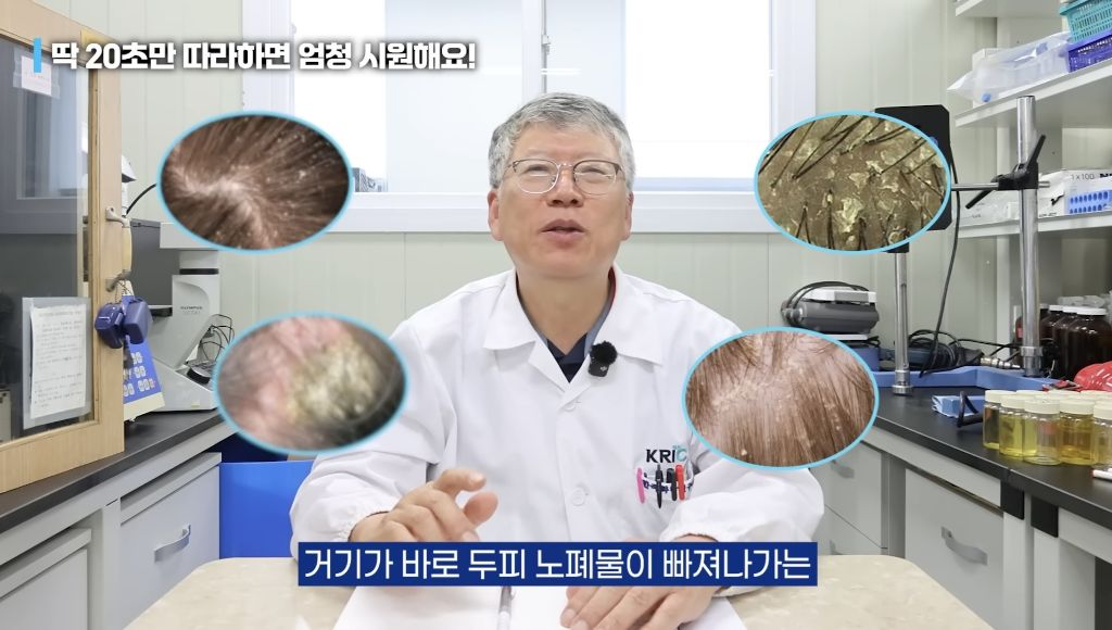퀘이사존