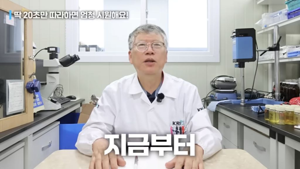 퀘이사존