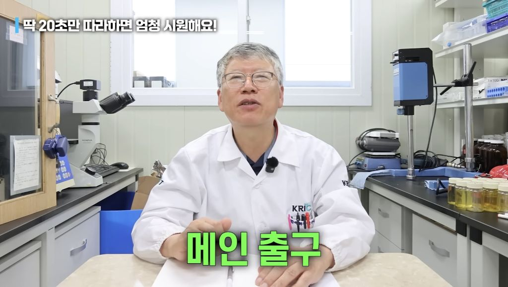 퀘이사존