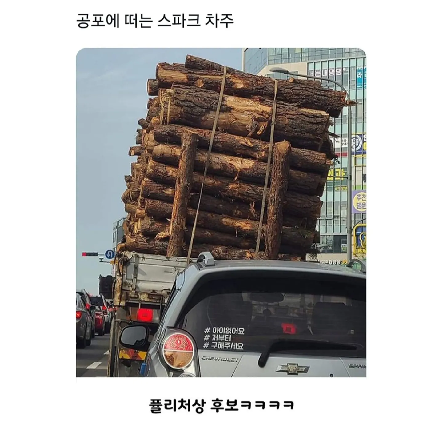 퀘이사존