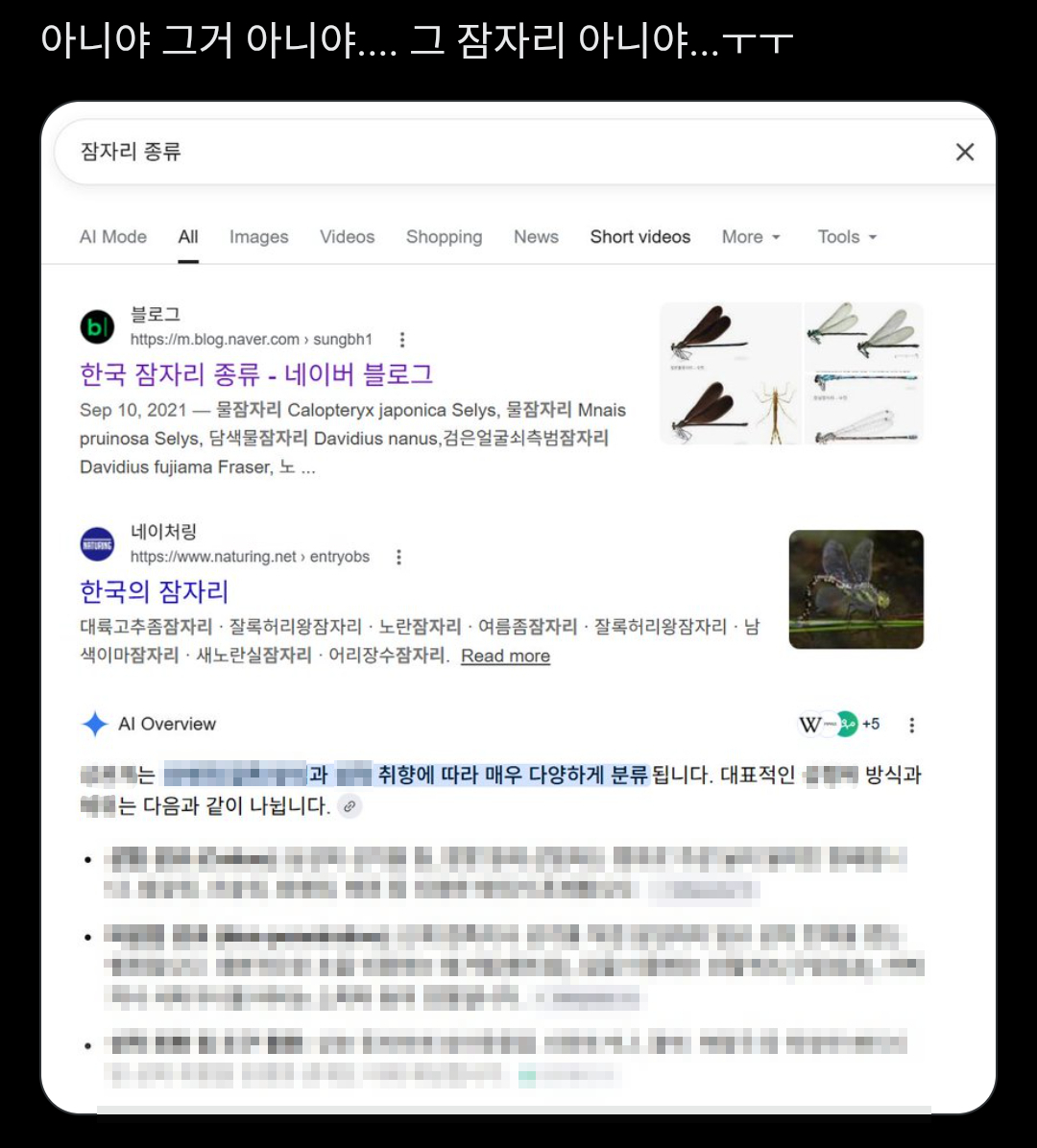 퀘이사존