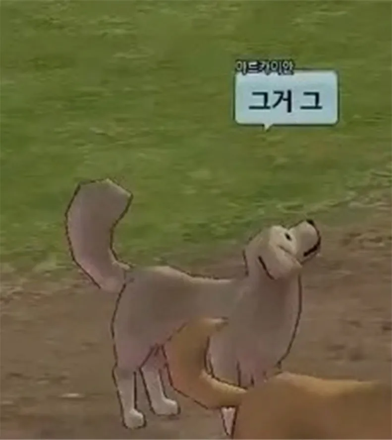 퀘이사존