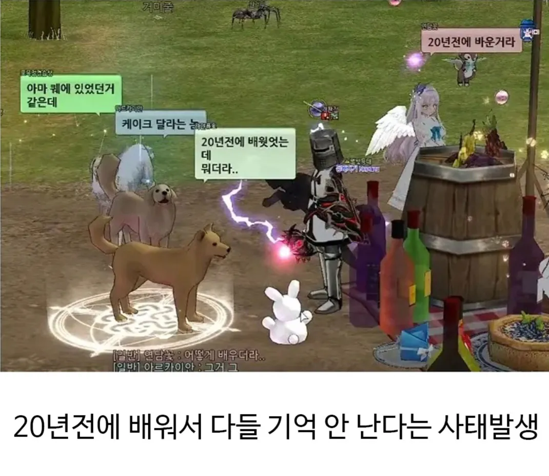 퀘이사존