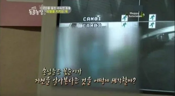 퀘이사존