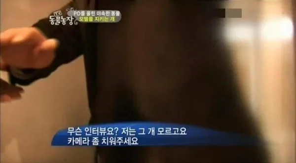 퀘이사존