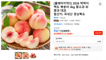퀘이사존