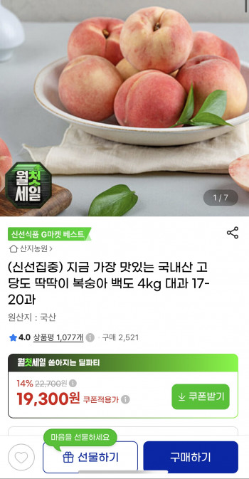 퀘이사존