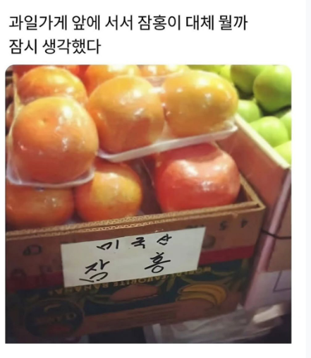 퀘이사존