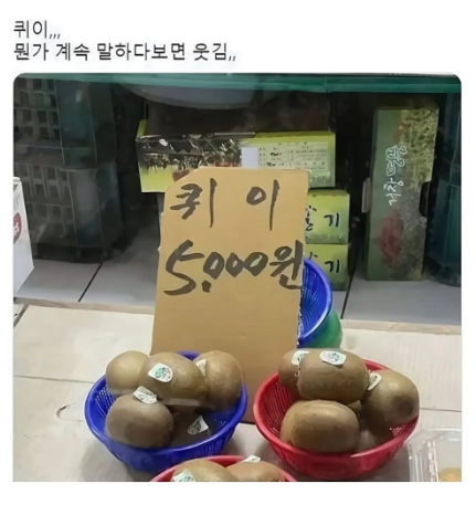 퀘이사존