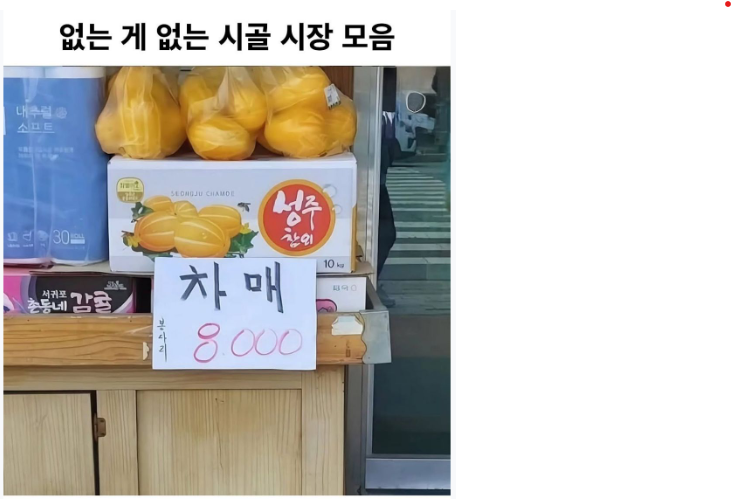 퀘이사존