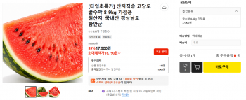 퀘이사존