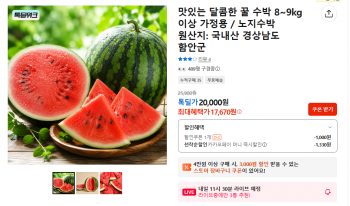 퀘이사존