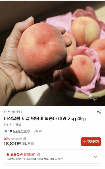 퀘이사존