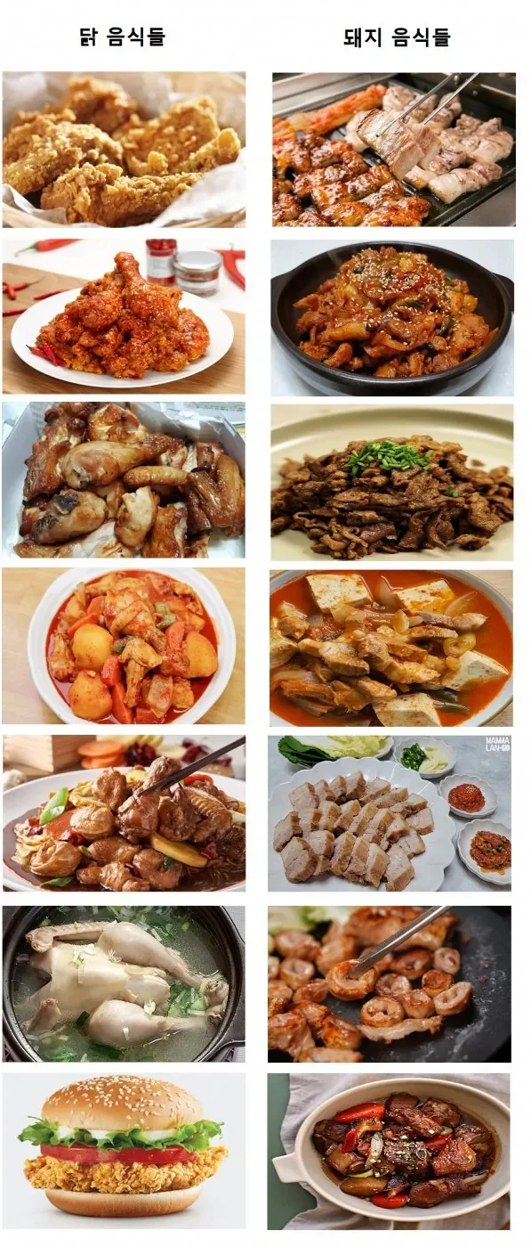 퀘이사존