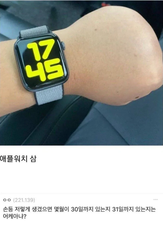 퀘이사존