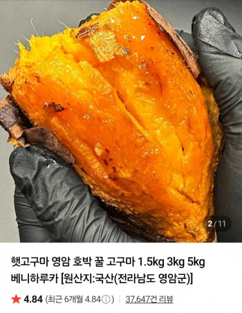 퀘이사존