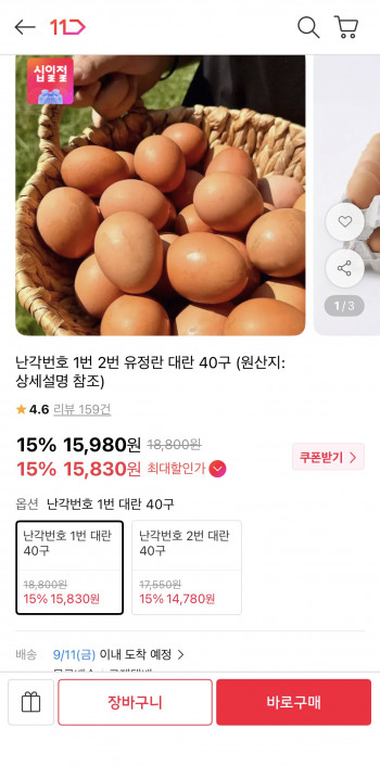 퀘이사존