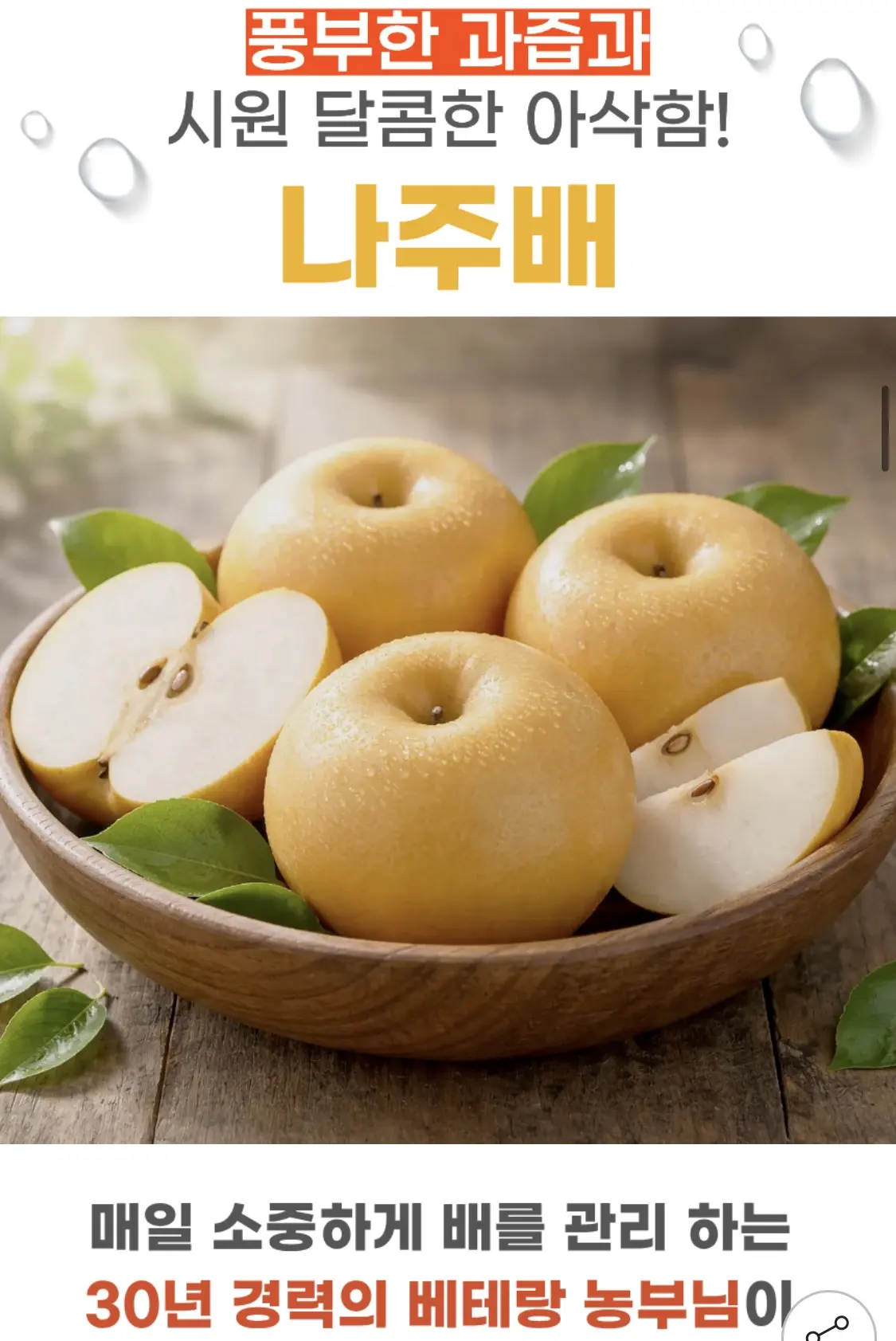 나주 원황배 5kg 가정용