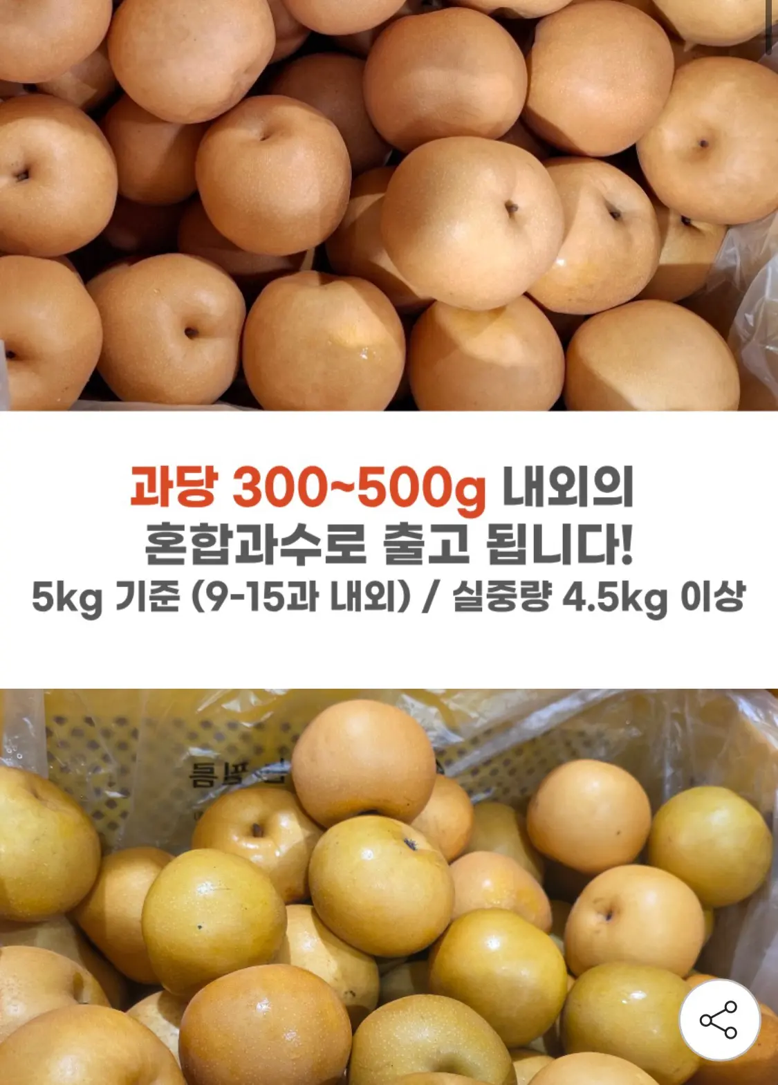 나주 원황배 5kg 가정용