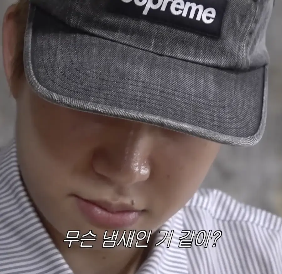 퀘이사존